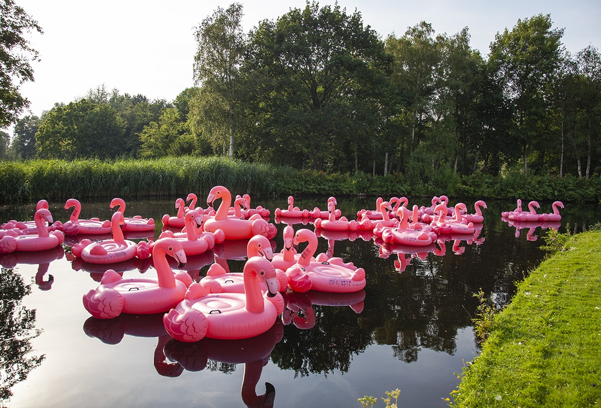 GS1 content: flamingo actie