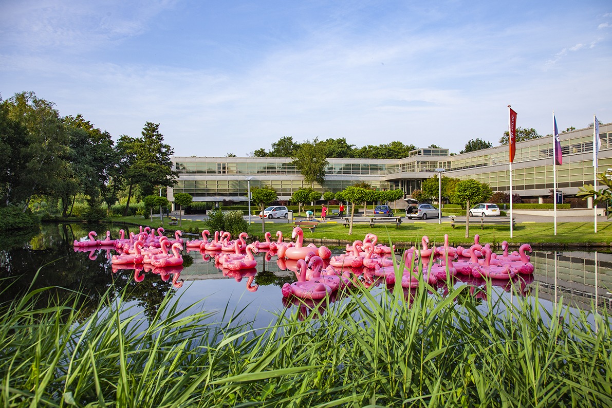 GS1 content flamingo actie